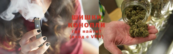ешки Ельня