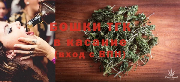 ешки Ельня