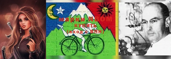 ешки Ельня