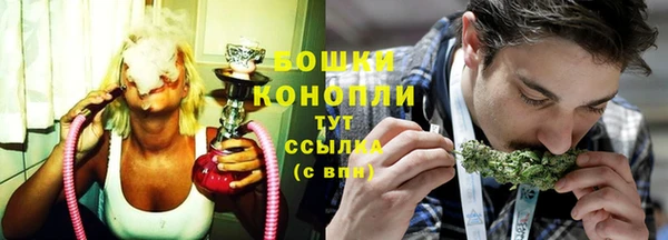 ешки Ельня