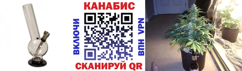 Купить закладки  Дивногорск  Бошки марихуана тримм 